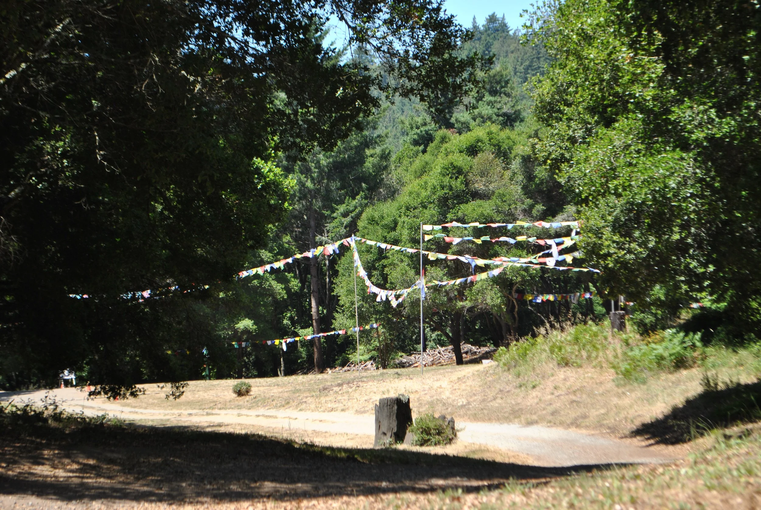 DSC_1670.jpg