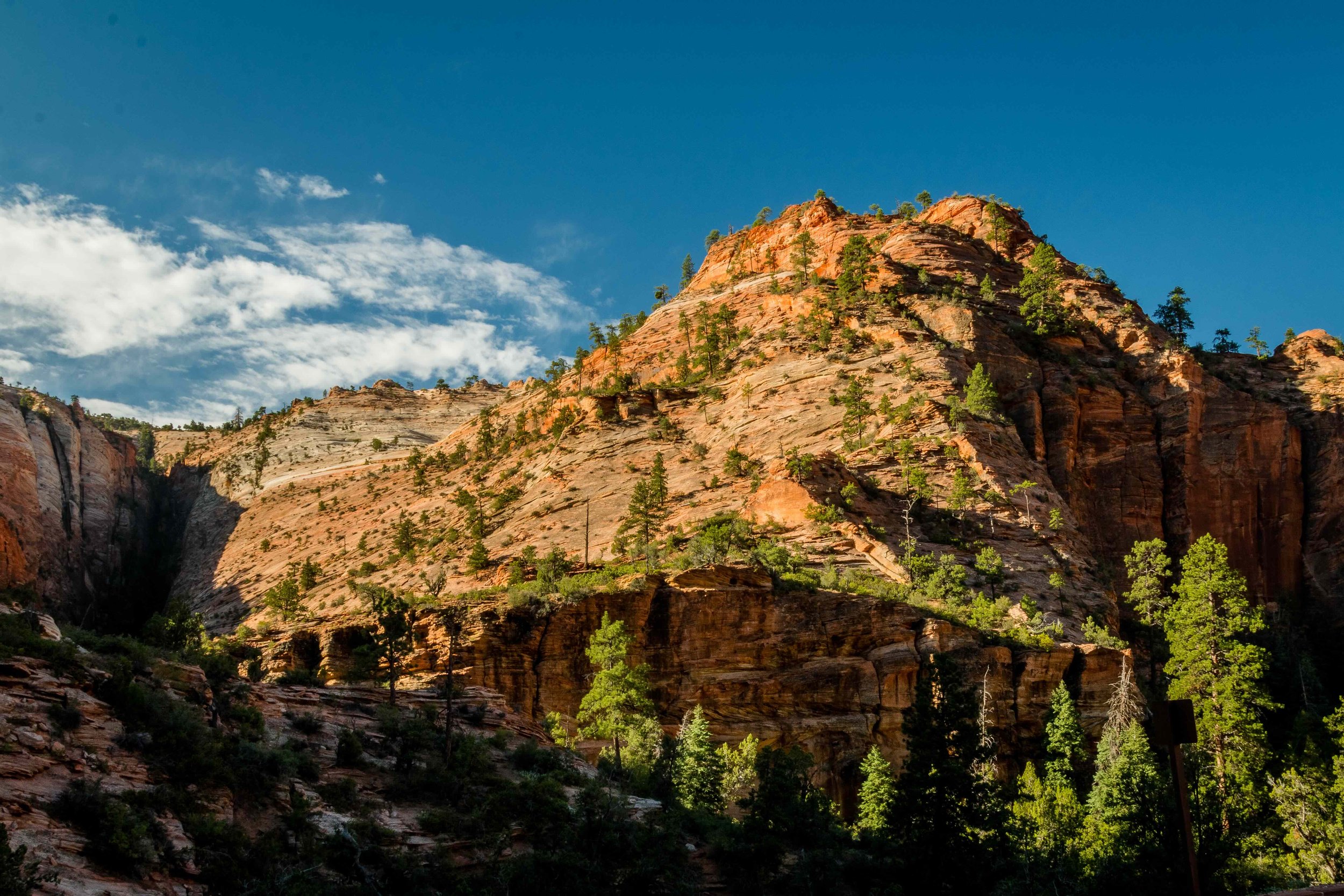 Zion-Canyon-1.jpeg