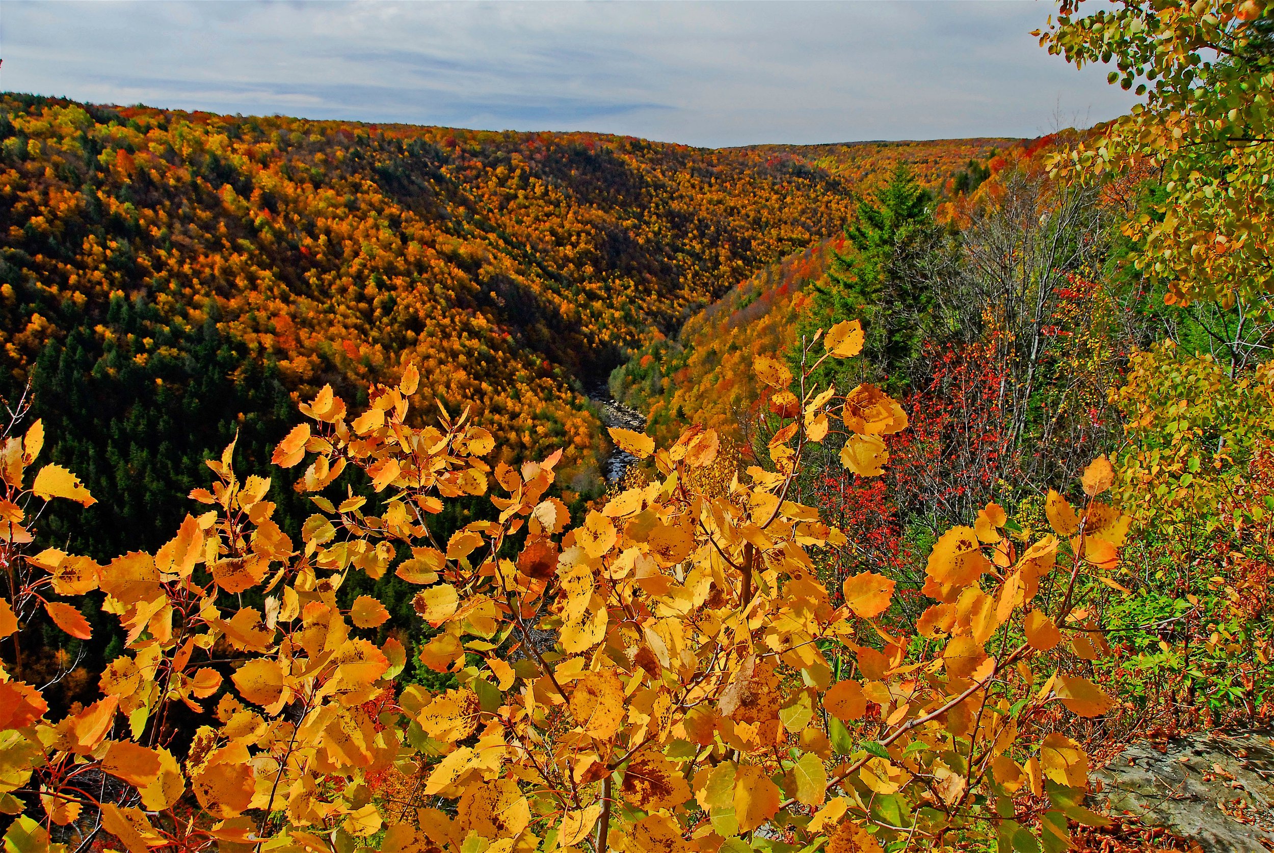 BlackwaterFallsSPFall08-sjs-26.jpg