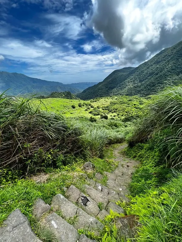53076884138_6e302b2c1f_c.webp
