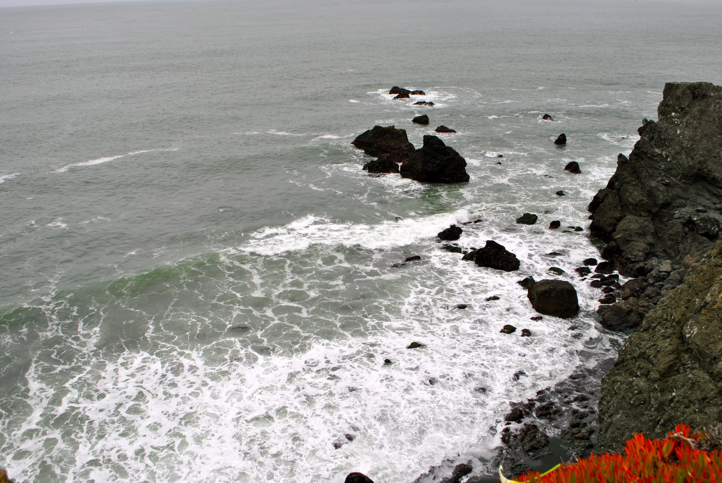 DSC_0029.jpg