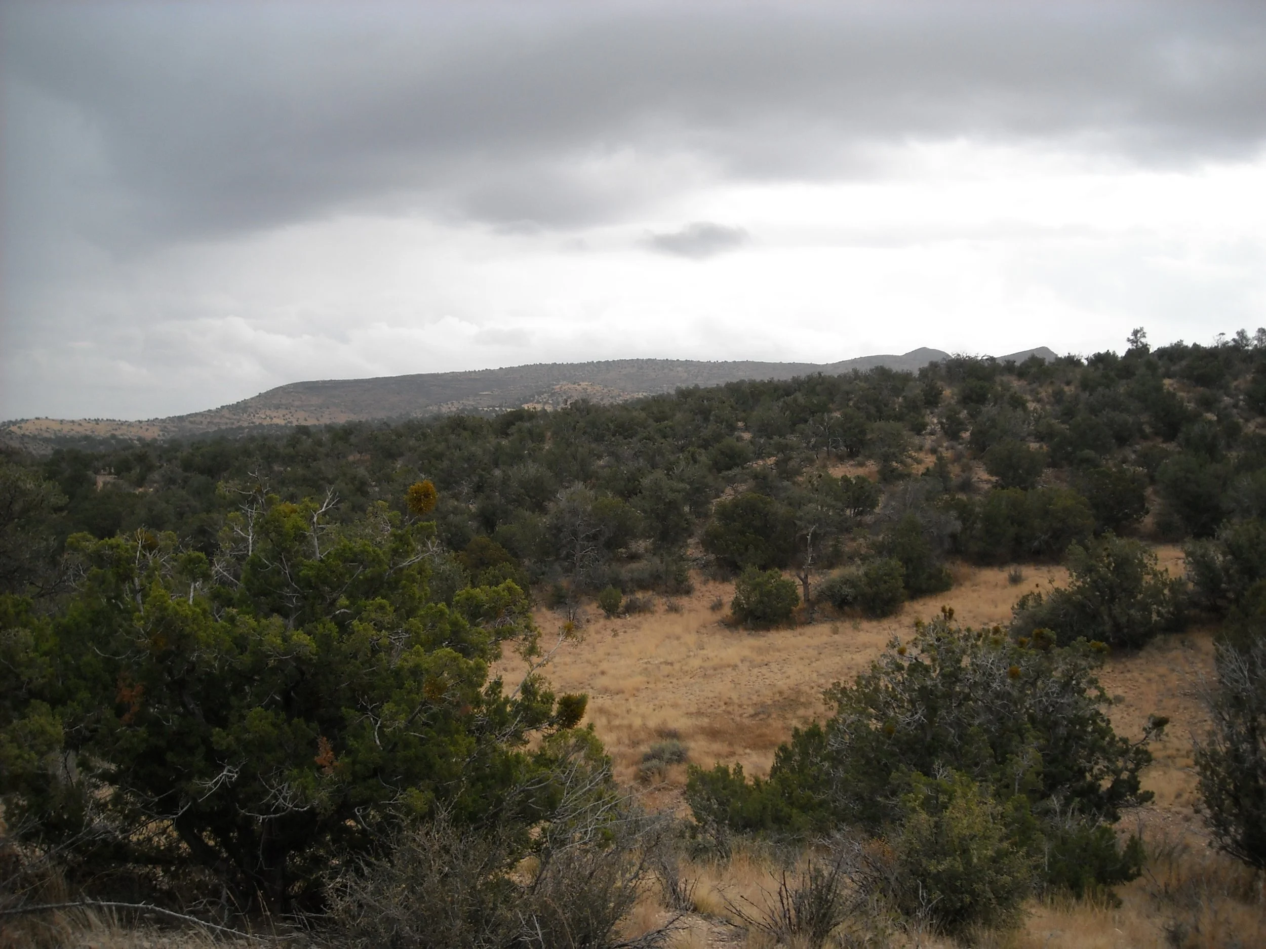 DSCN2855.JPG