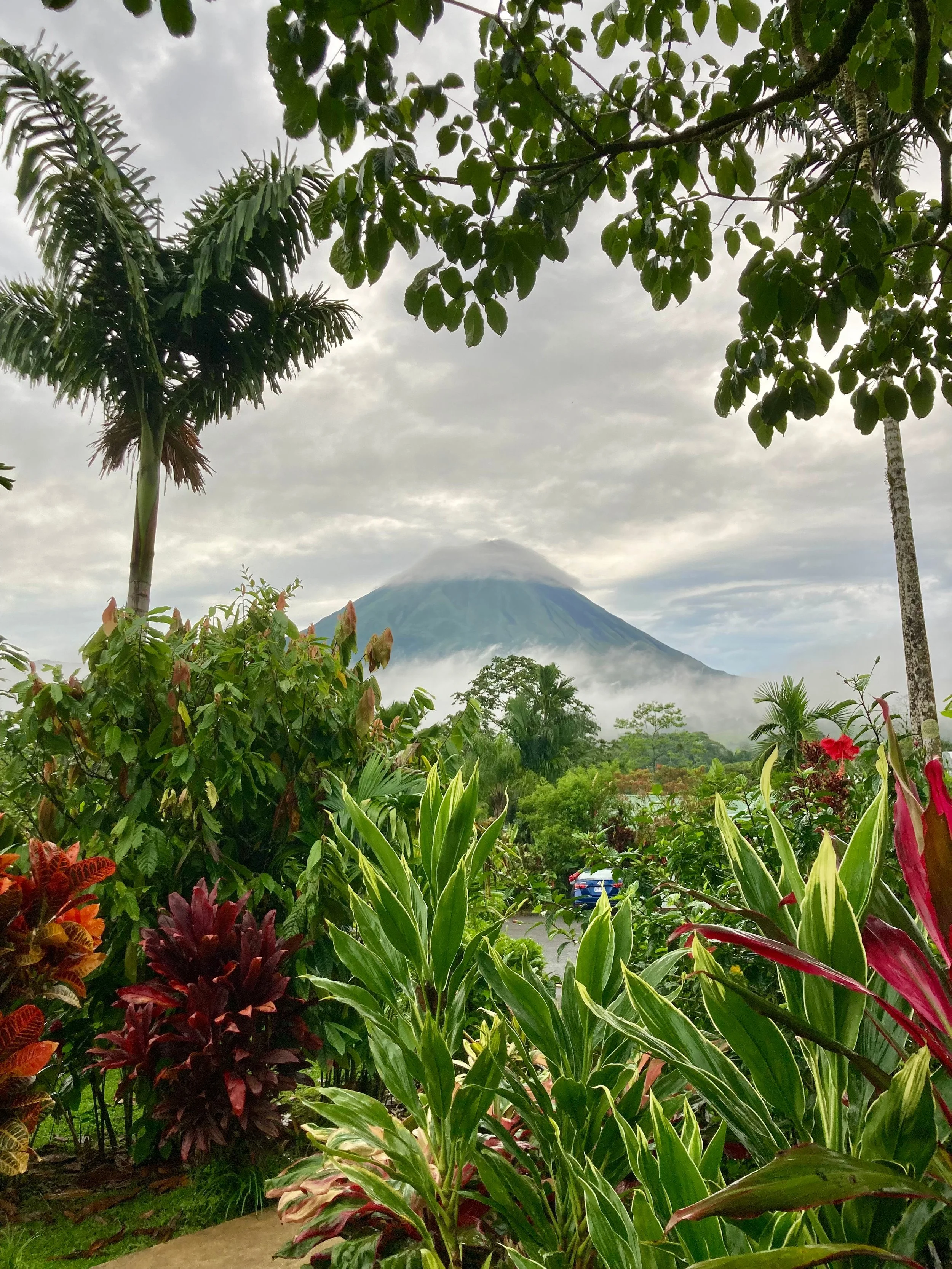 Green lush tropical garden with various plants, trees, and colorful flowers, with a mountain or volcano faintly visible in the background under a cloudy sky.