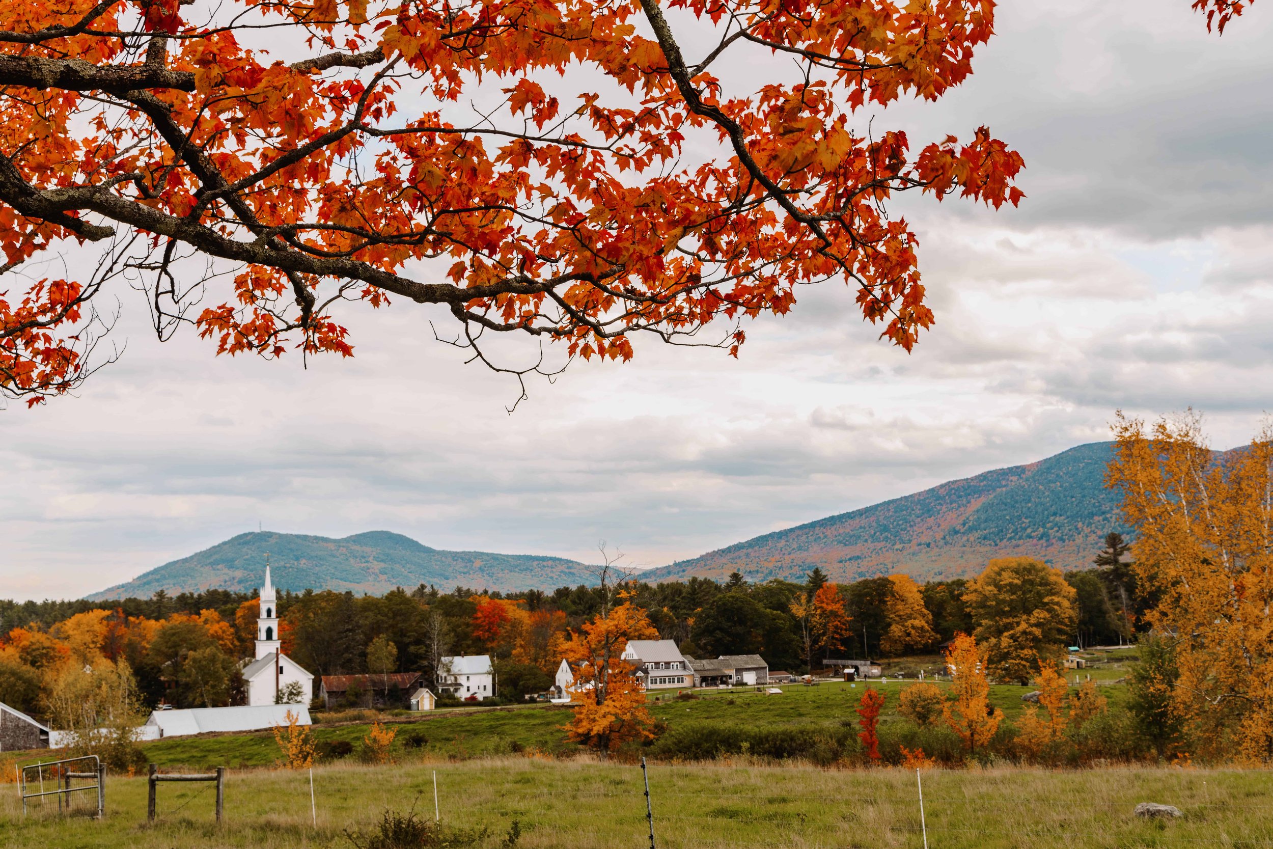 new-hampshire-tamworth-24-of-26.jpg