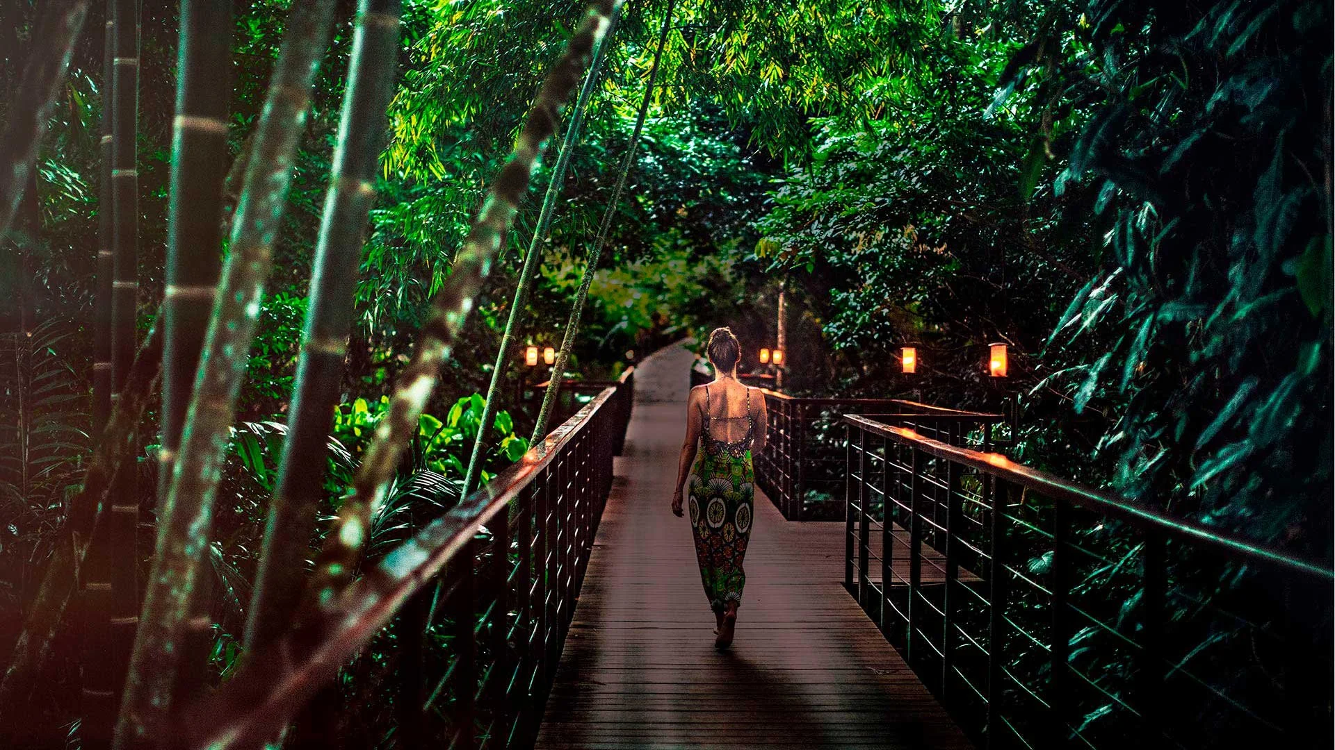 A person walks on a pathway surrounded by lush green tropical plants and trees, with lanterns illuminating the path at dusk or nighttime.