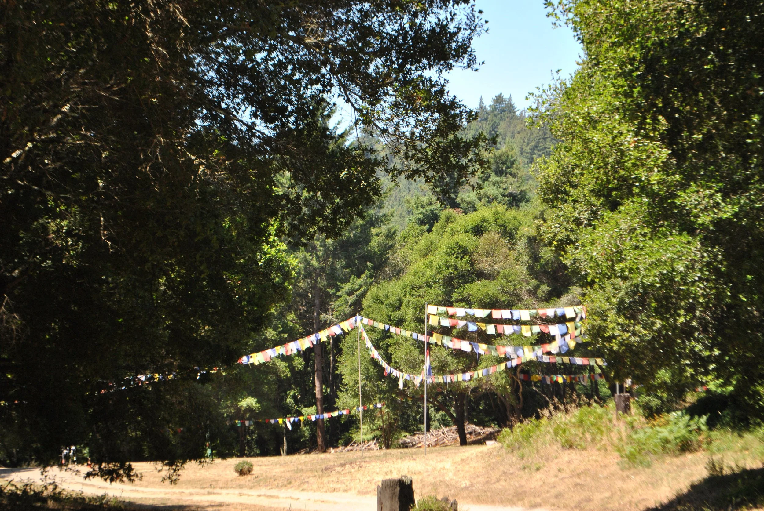 DSC_1678.jpg