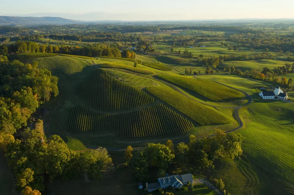 A picturesque street in a mountain town with wooden buildings, shops, and colorful flowers. French and Swiss flags and red triangular flags are strung across the street. A large Swiss flag is visible in the background. The scene is bright and sunny with mountains in the distance.