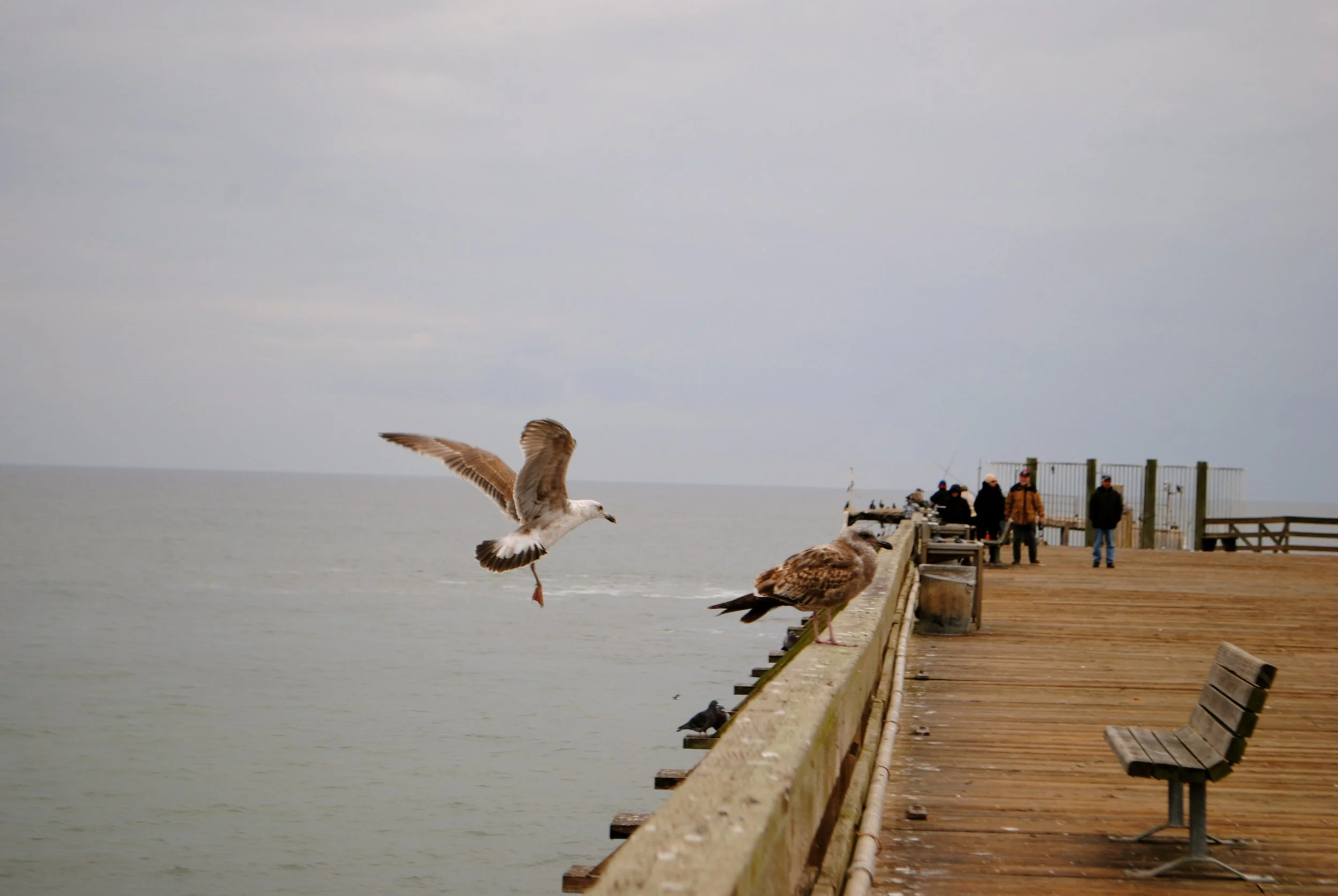 DSC_0172.JPG