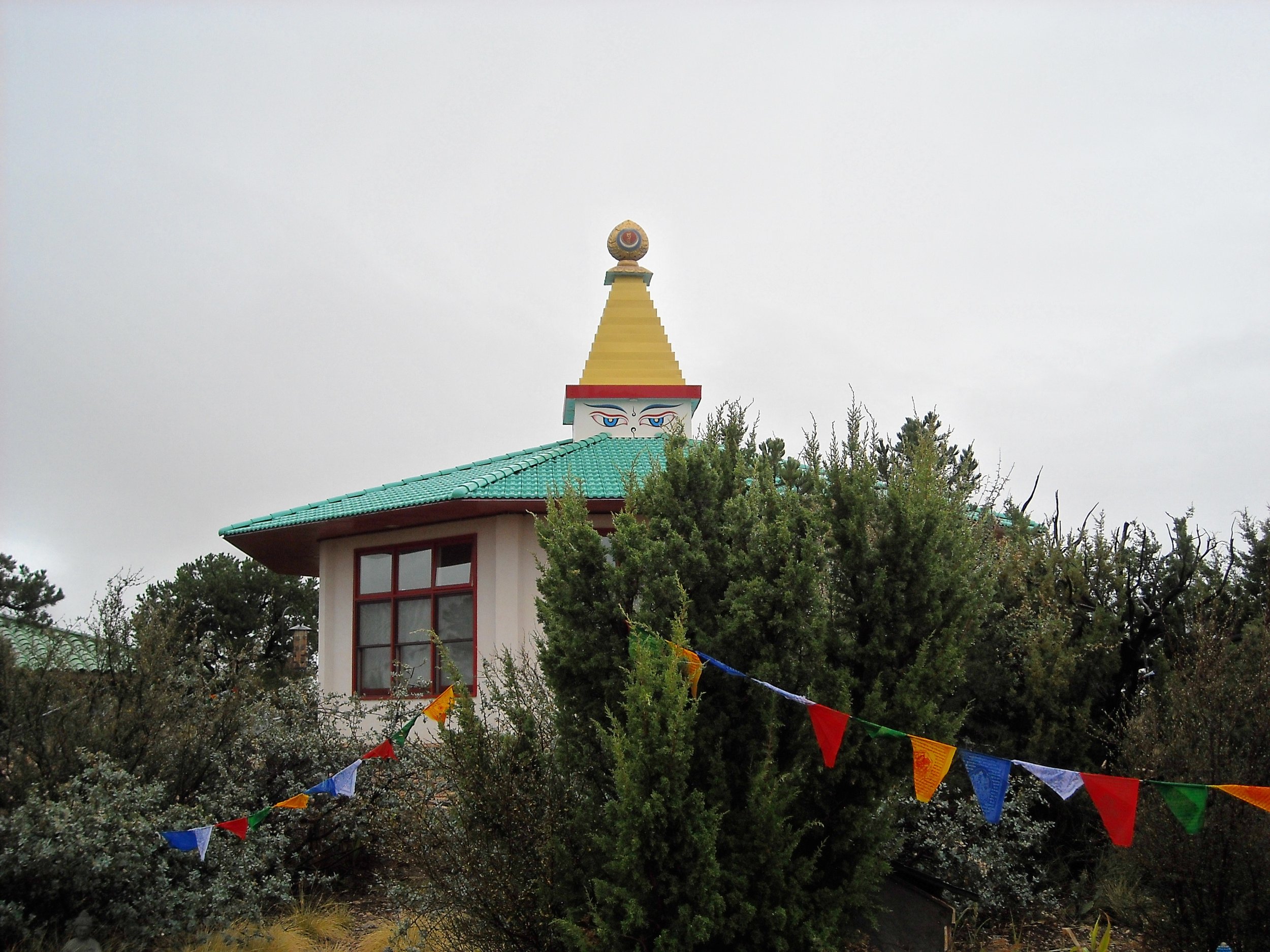 DSCN2913.JPG