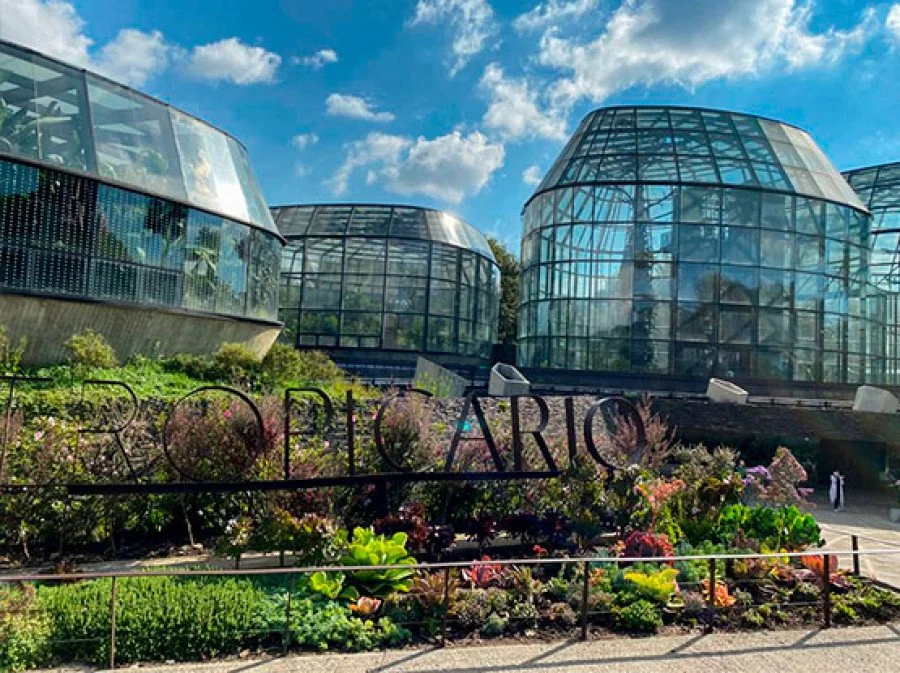 Greenhouse with glass walls and a modern design, surrounded by colorful flowers and plants, under a blue sky with some clouds.