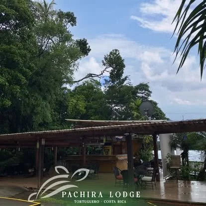 Outdoor dining area at Pachira Lodge in Tortuguero, Costa Rica, with a wooden roof, tables and chairs, surrounded by lush green trees and overlooking a body of water.