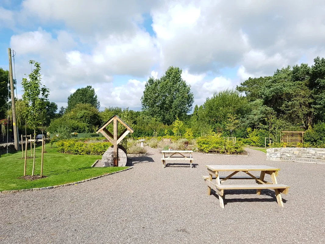 Outdoor park scene with wooden benches, trees, shrubs, and a cloudy sky.