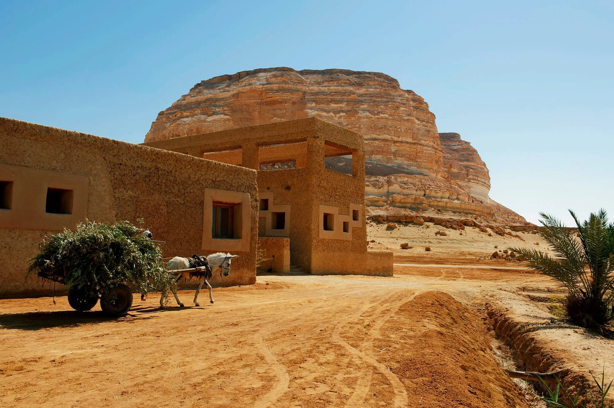 Desert landscape with a traditional adobe-style building, a donkey pulling a cart with greenery, and a large rocky hill in the background under clear blue sky.