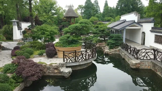 A traditional Japanese garden with lush greenery, a pond, and white walls with dark roofs