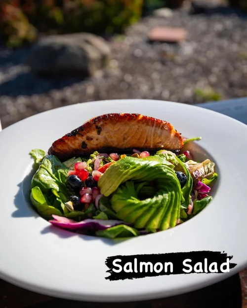Salmon fillet on a bed of mixed greens and berries, served on a white plate outdoors.