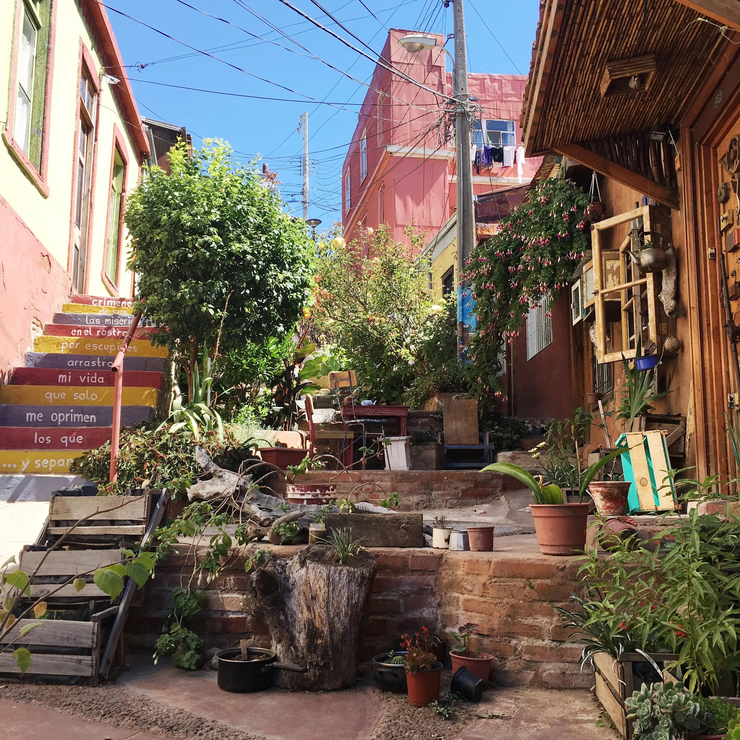 garden_valparaiso_chile_benjamingoldberg_photo2.jpeg