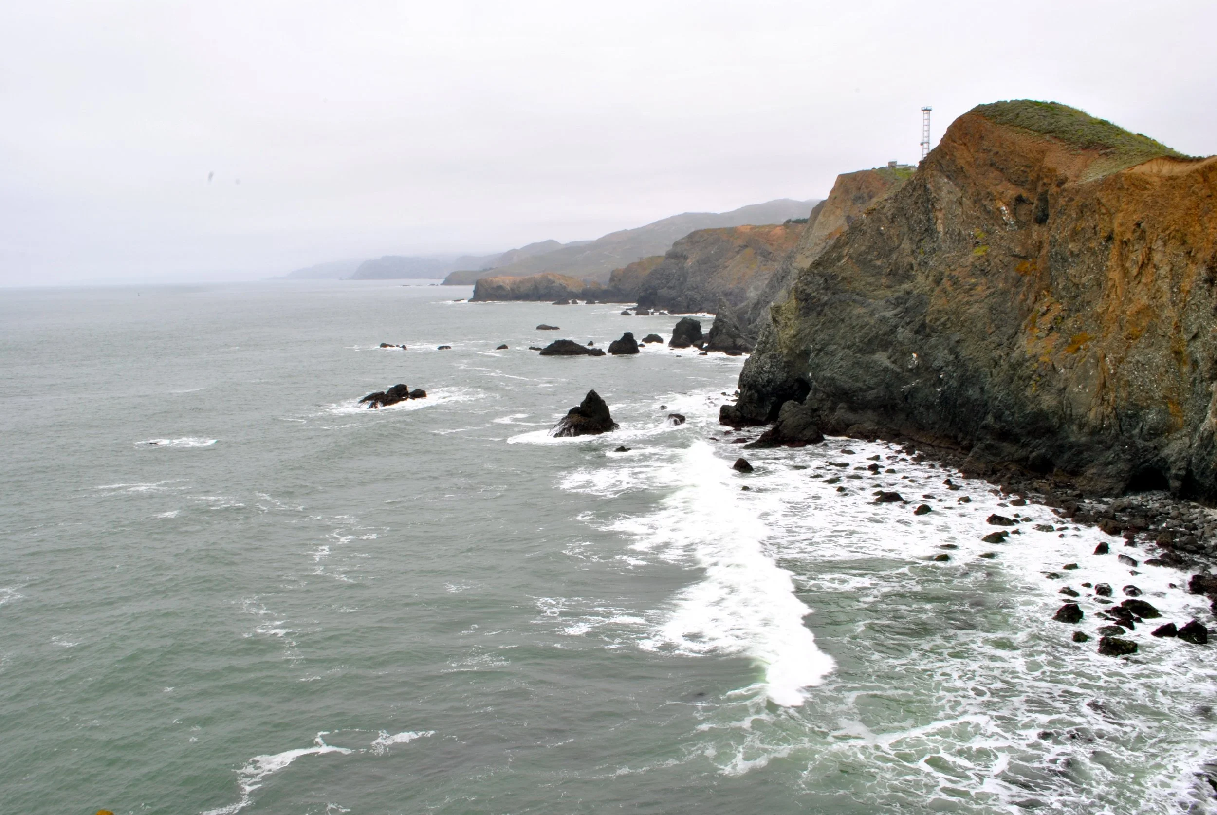 DSC_0100.jpg