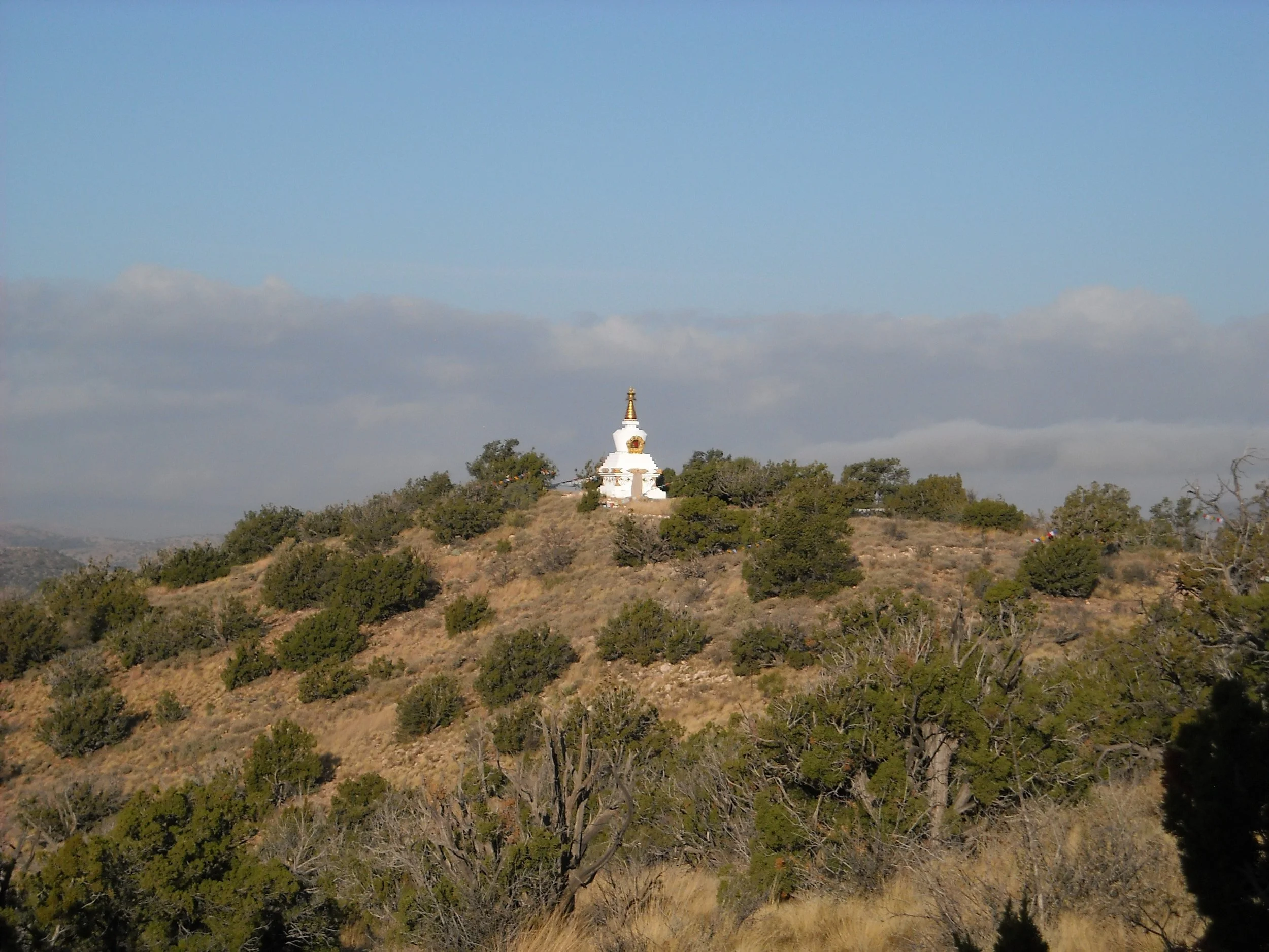 DSCN2742.JPG
