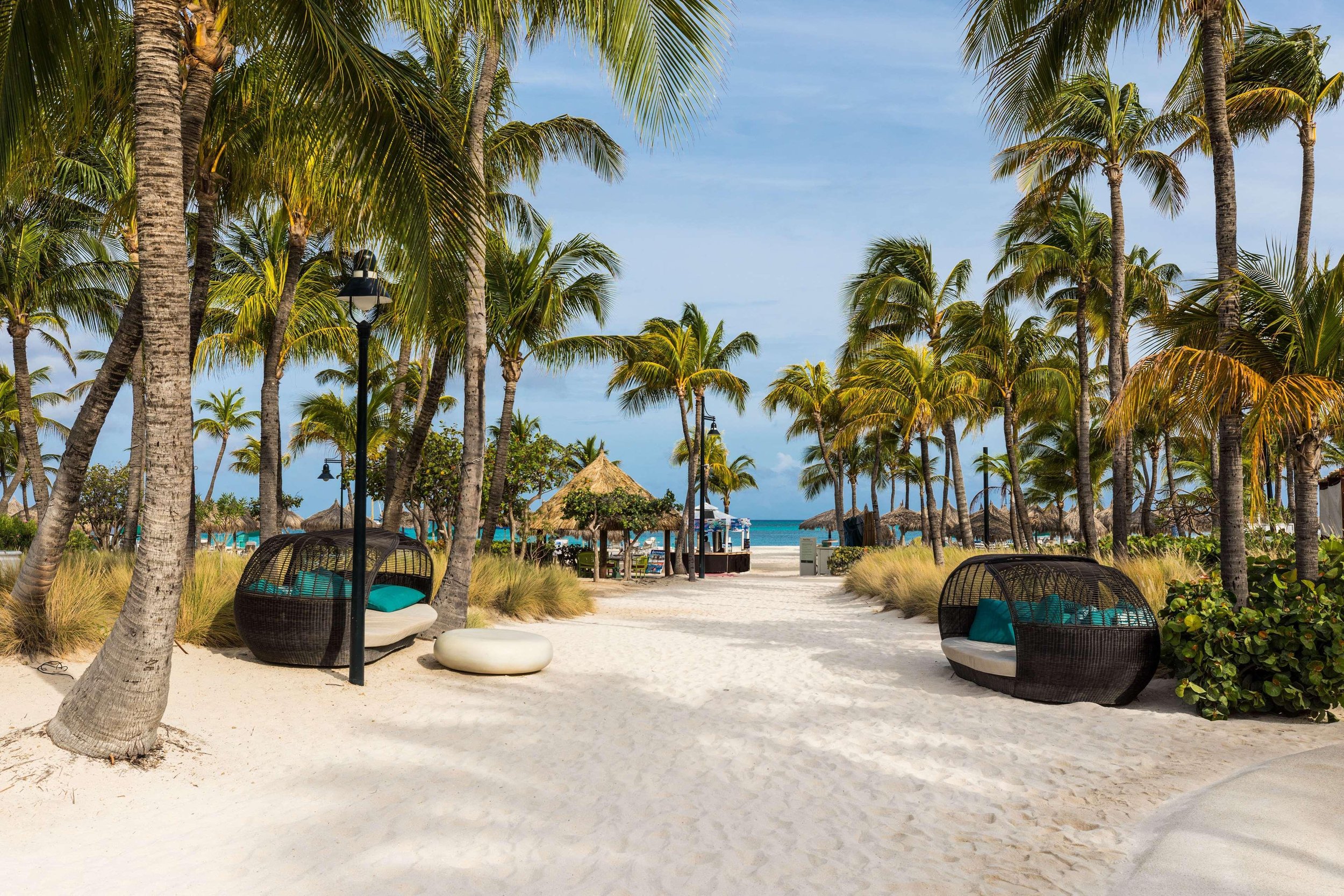 hilton-aruba-caribbean-resort-casino-palm-beach-pic-84.jpg
