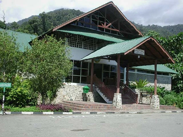 A wooden building with a green metal roof, stone steps, and a small porch. Surrounded by trees and plants, with hills in the background.