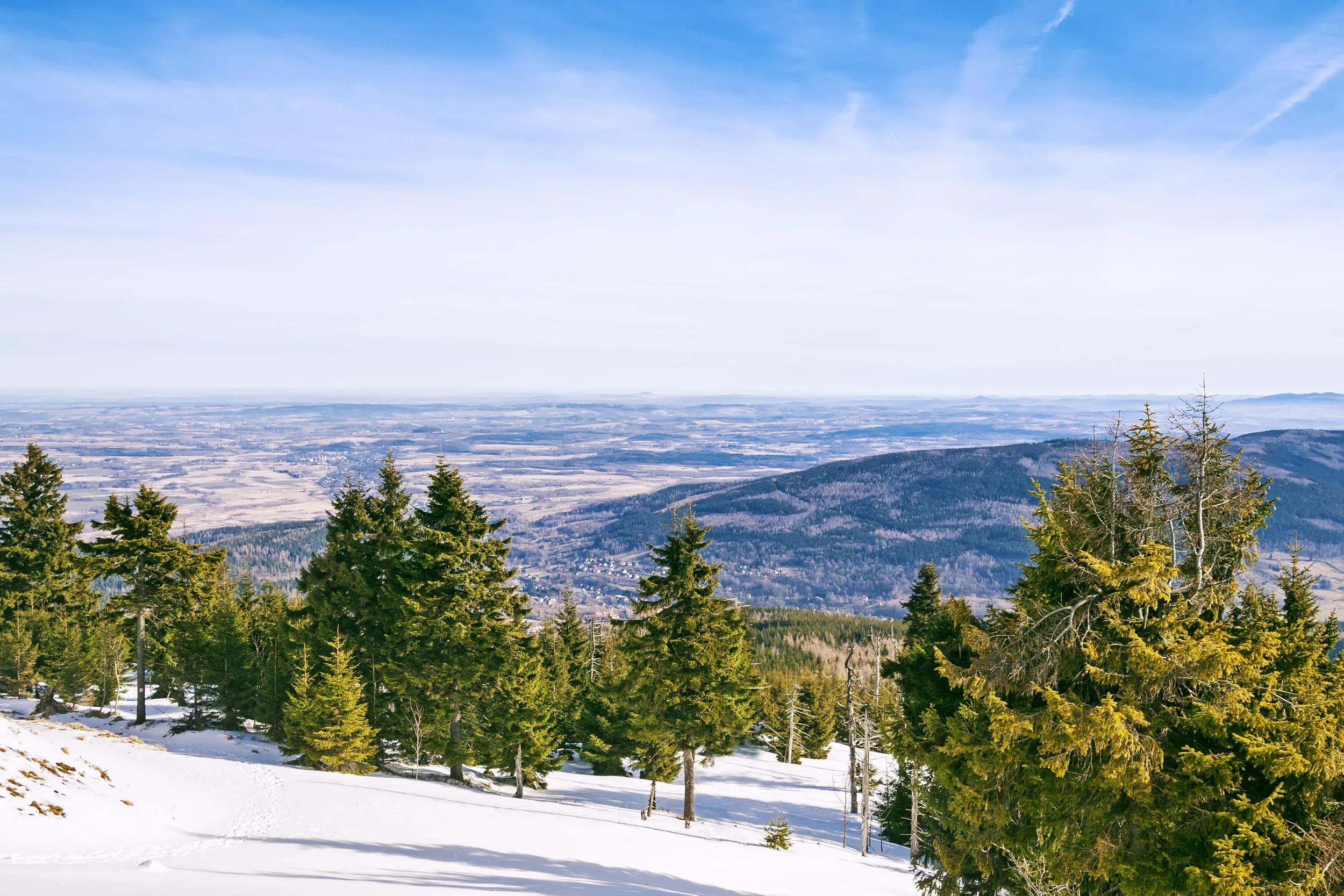 Snow-covered ground with green pine trees in the foreground, hills and a valley extend toward the horizon under a blue sky with wispy clouds.