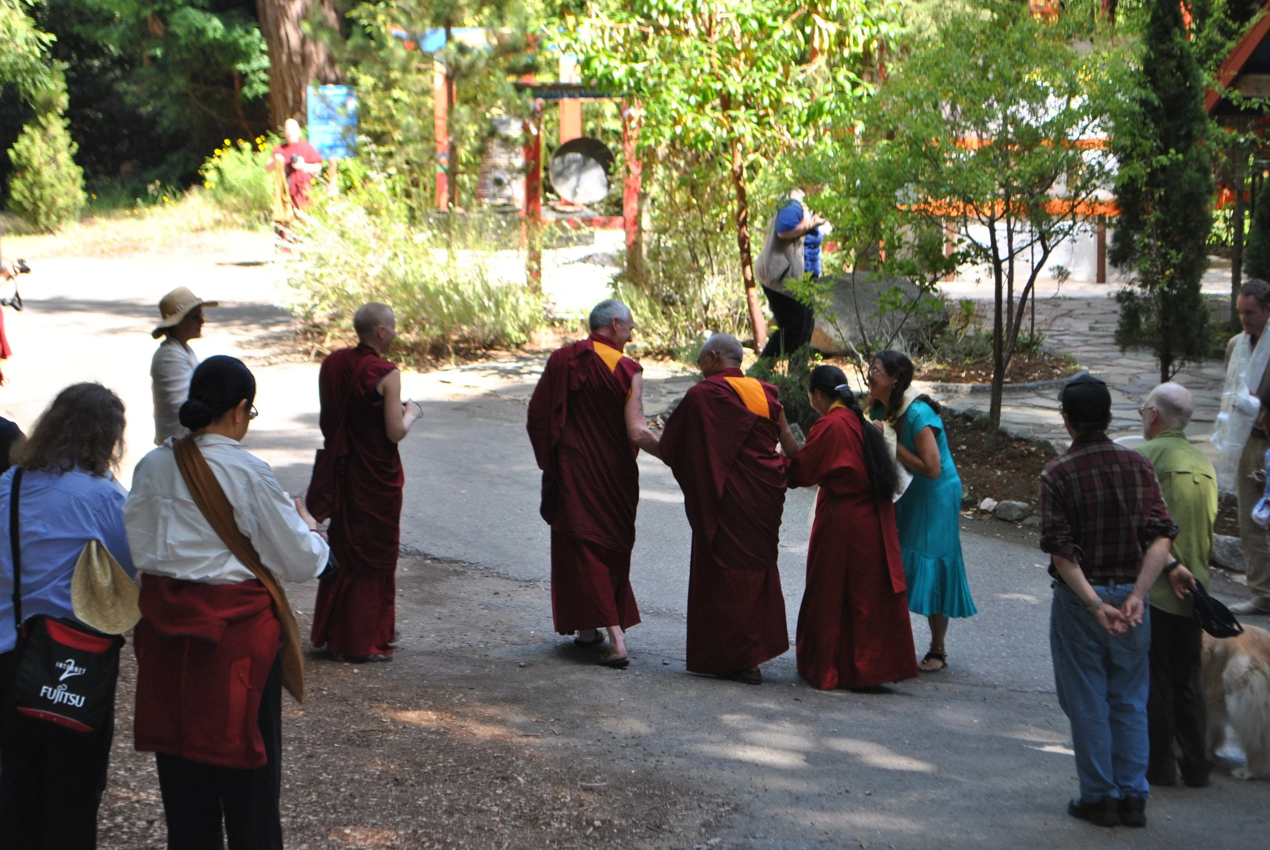 DSC_1717.jpg