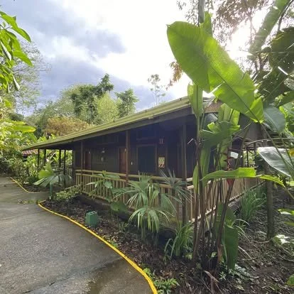 A rustic wooden cabin surrounded by lush tropical plants and trees. A gravel path runs alongside the cabin, and the sky appears overcast.
