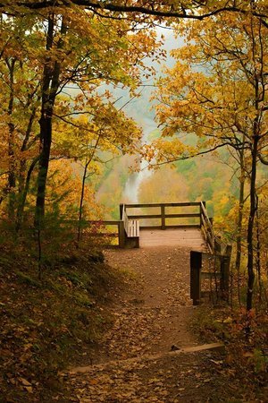 grand-canyon-of-pennsylvania.jpg