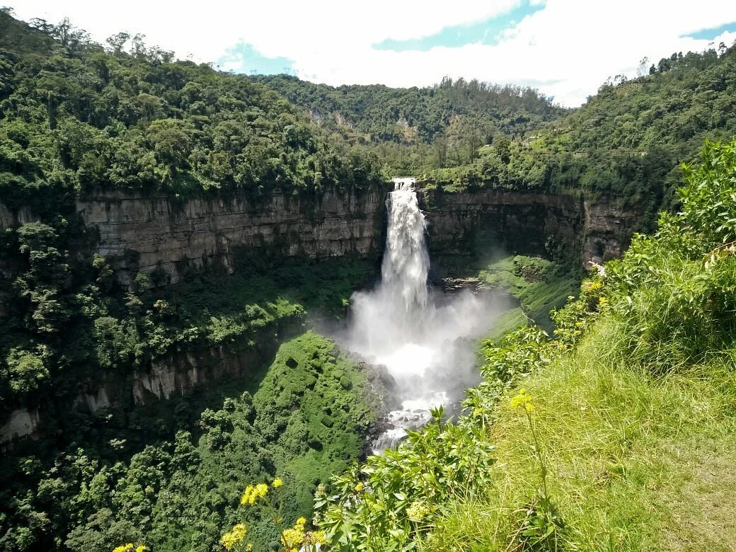 A large waterfall flowing over a cliff into a lush green canyon surrounded by dense forest, under a partly cloudy sky.