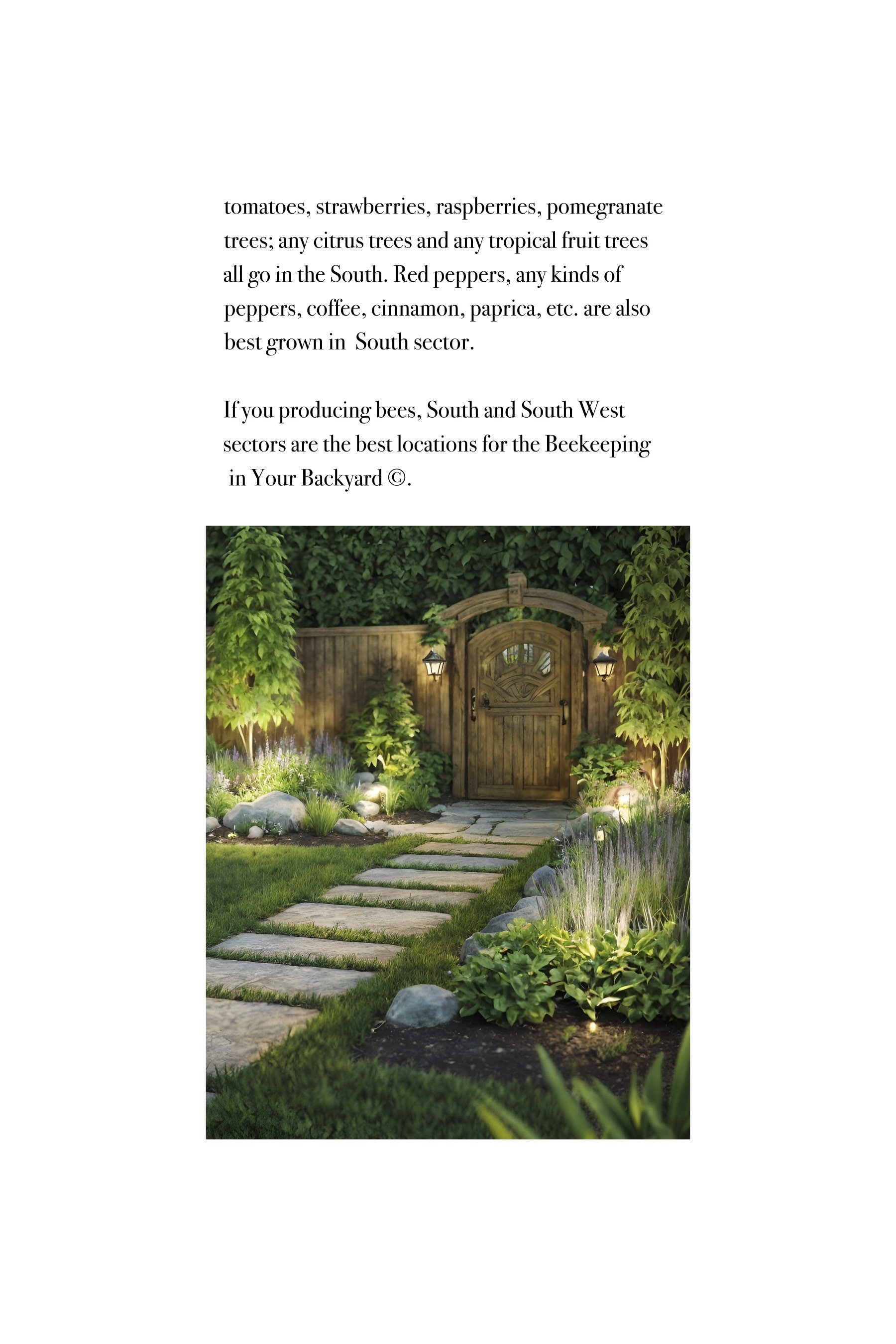 Feng Shui 99Energy Basics and Little Bit of Household Dharma Magic ©.jpg