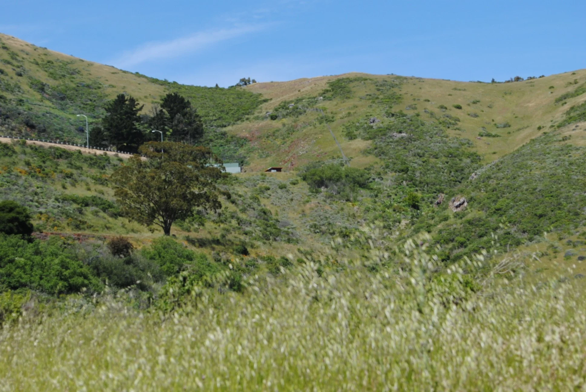 DSC_0053.JPG