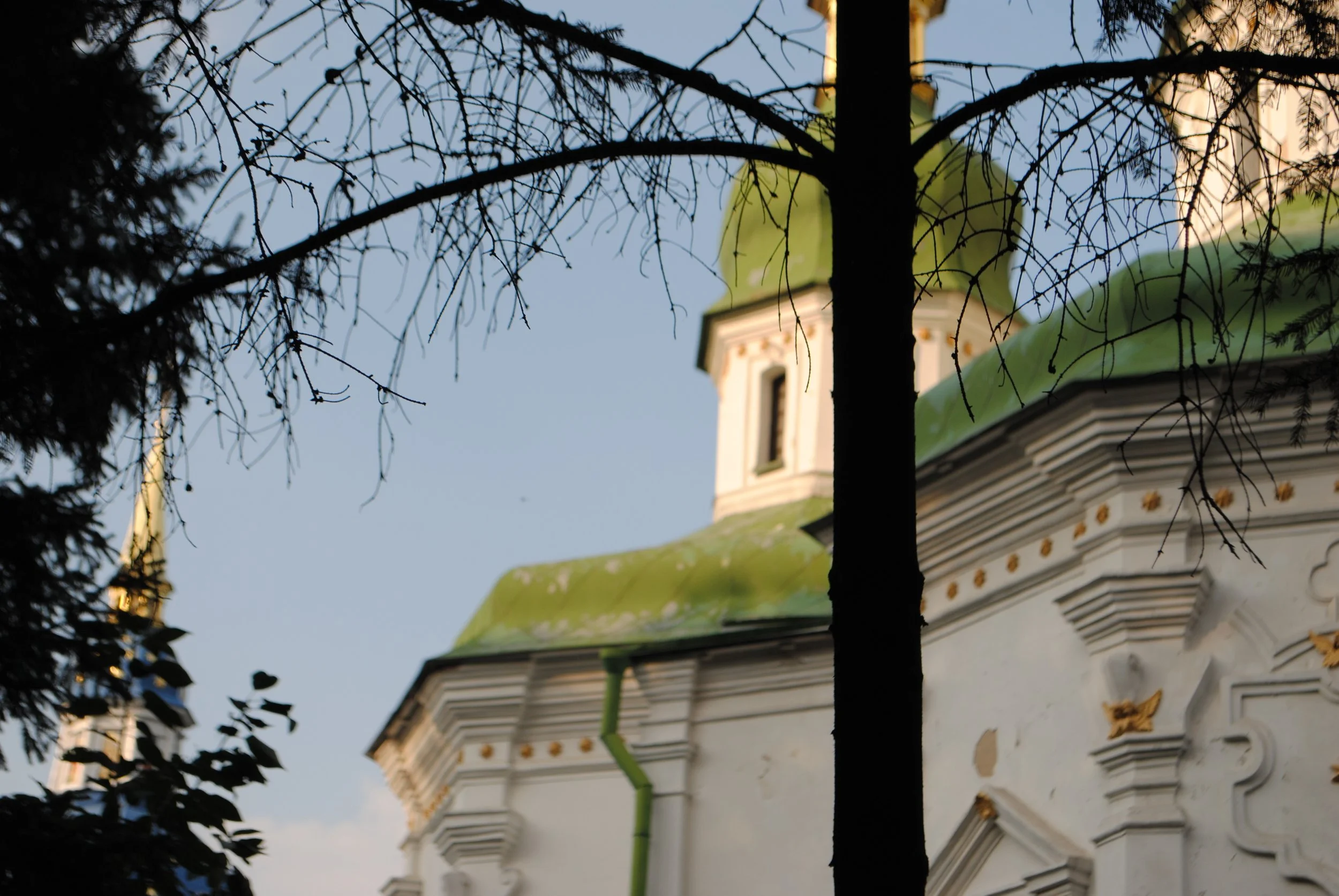 A church with a green roof and white walls, partially obscured by branches of trees, with sunlight on the building and a clear sky in the background.