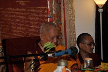 DSC_5083.jpg
