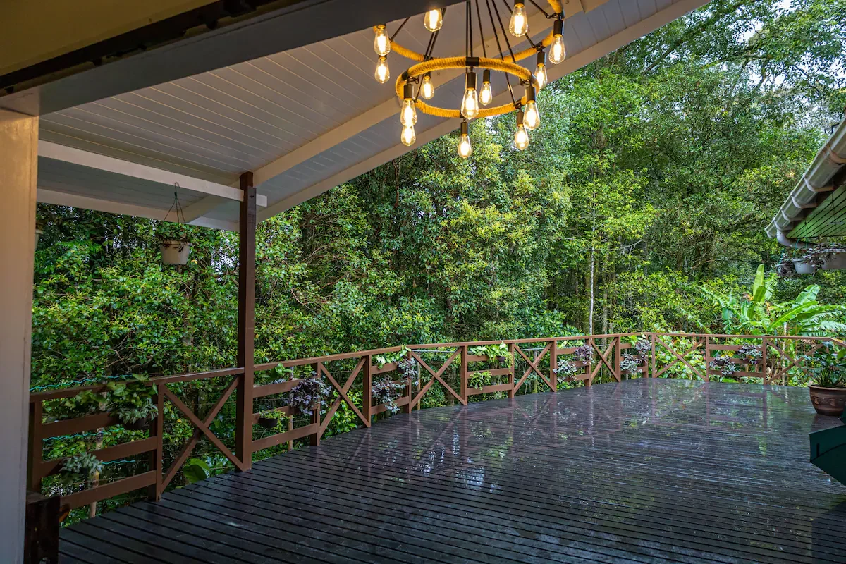 Rain-soaked wooden deck with a chandelier hanging from the ceiling, surrounded by green trees and potted plants.