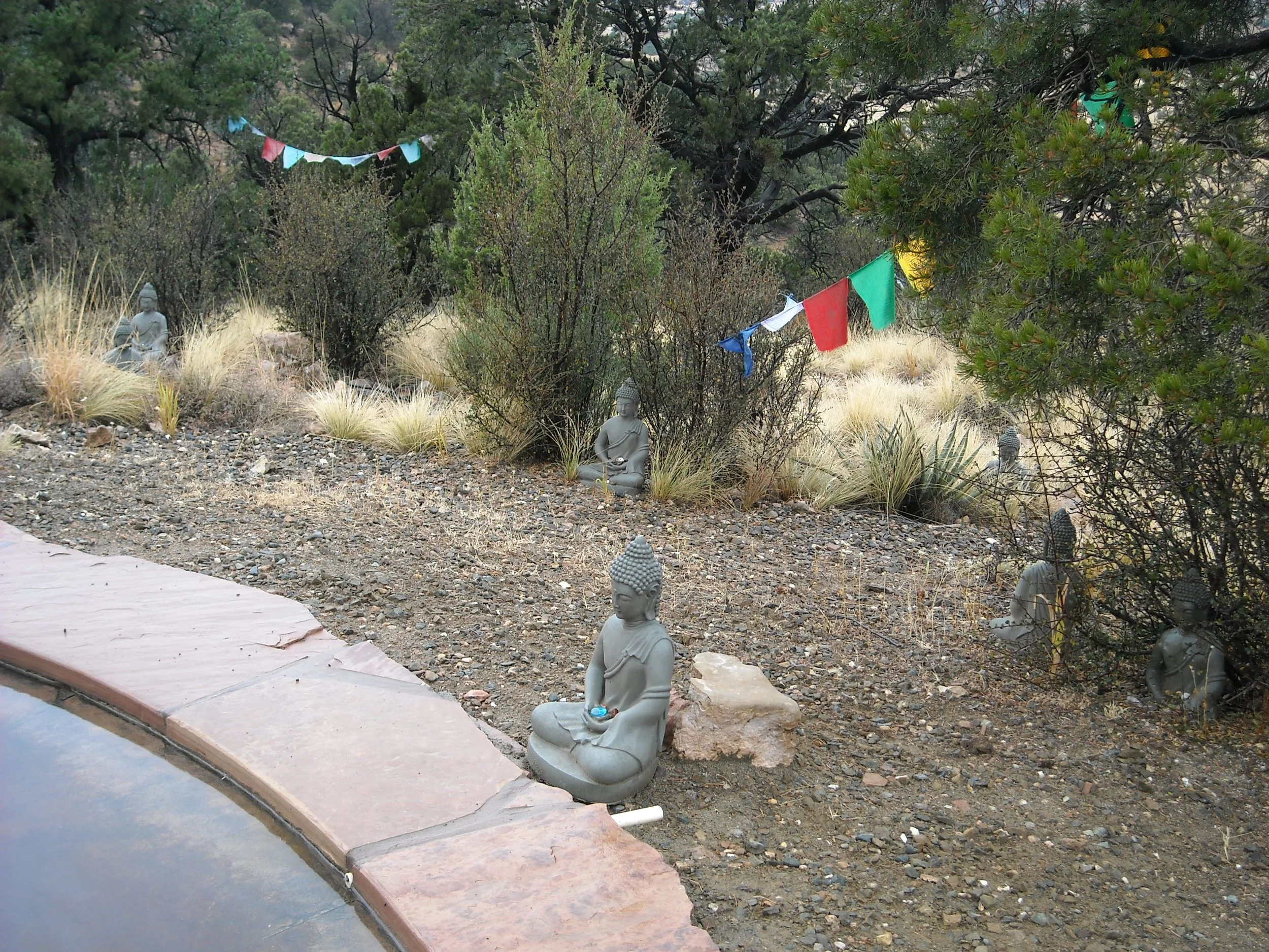 DSCN2918.JPG
