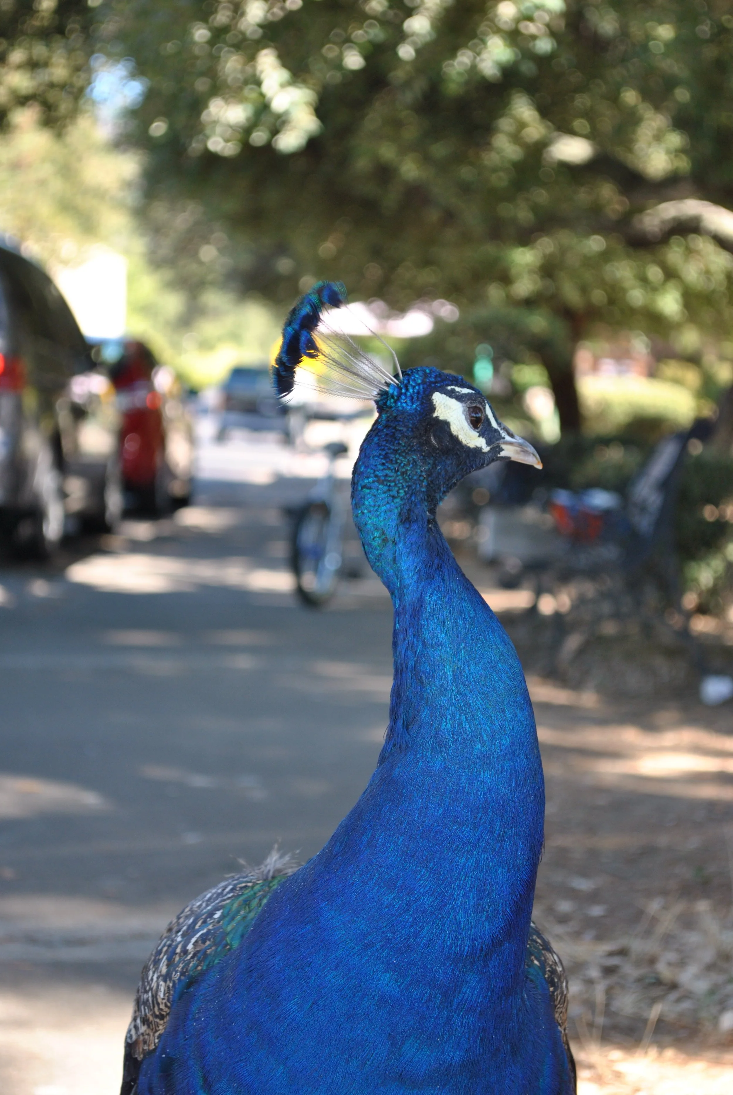 DSC_0047.jpg