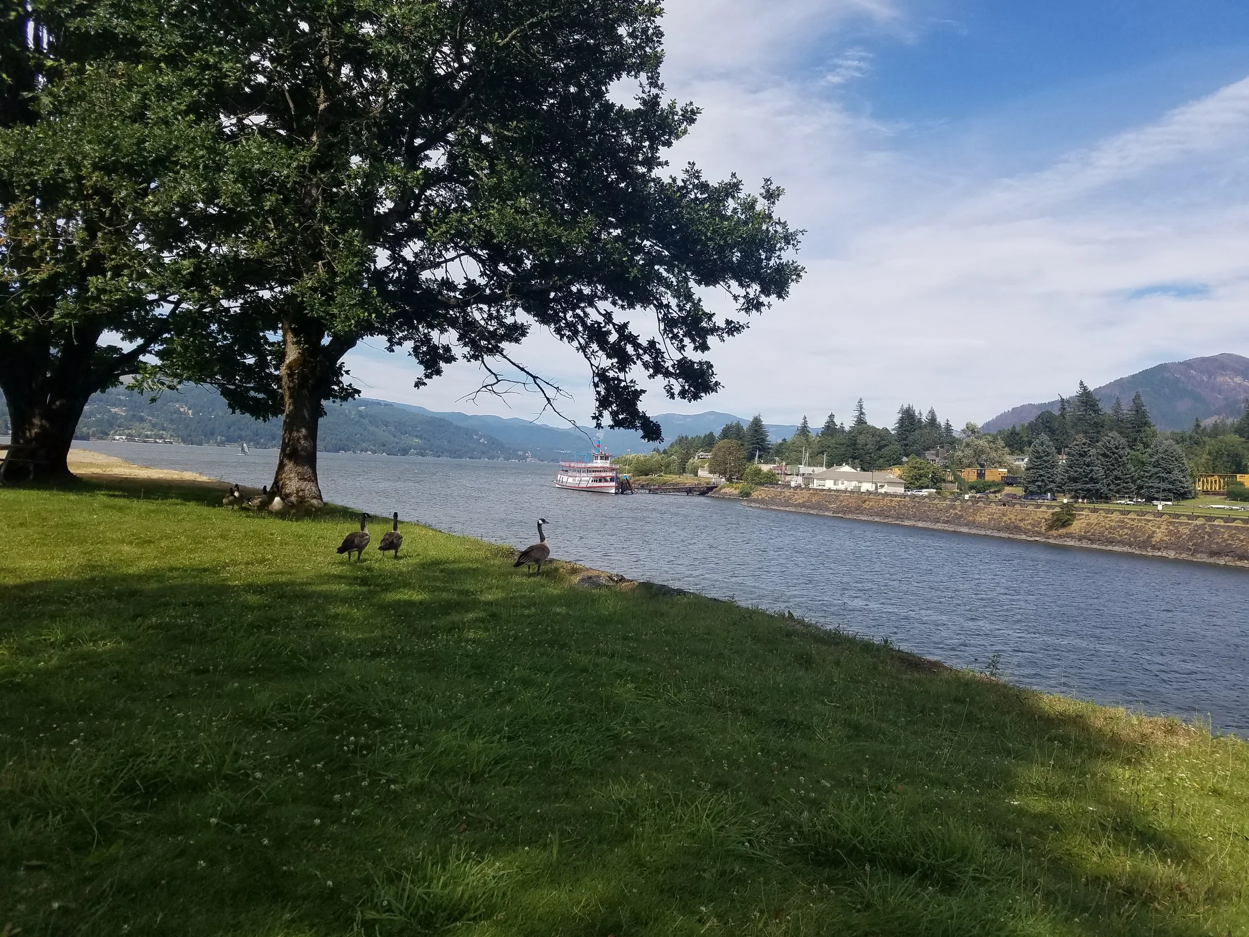 20180713_162503.jpg