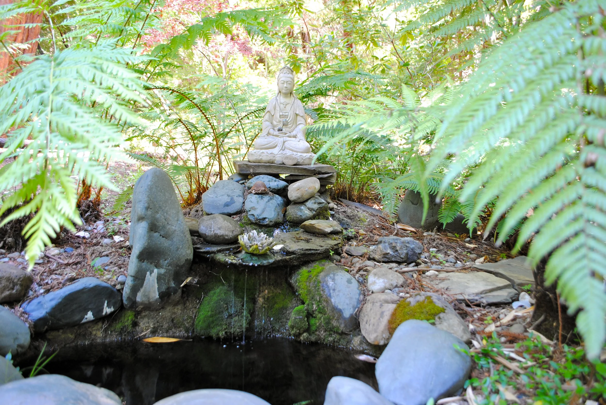 DSC_0869.JPG