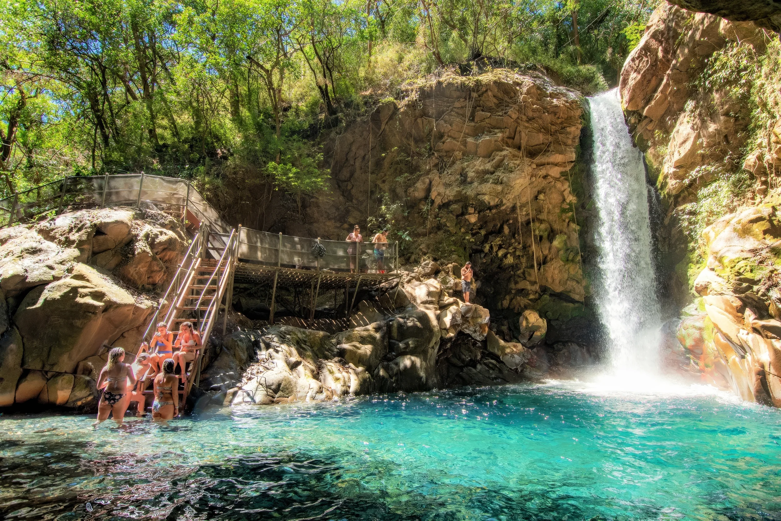 item_14080_oropendula_waterfall_8fafa27cd3.webp