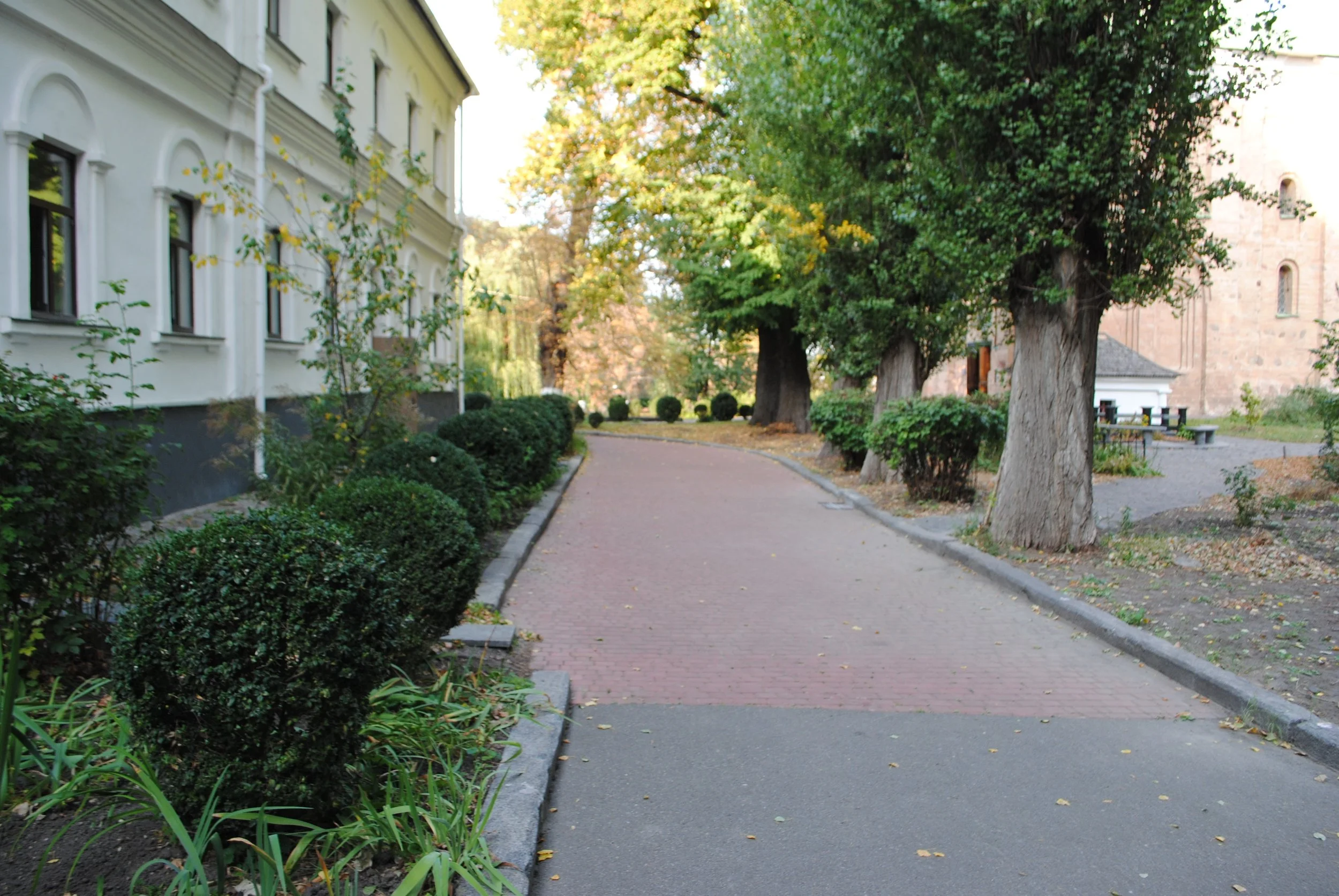 A paved walkway in a park lined with trimmed bushes and large leafy trees, with a building and a church in the background.
