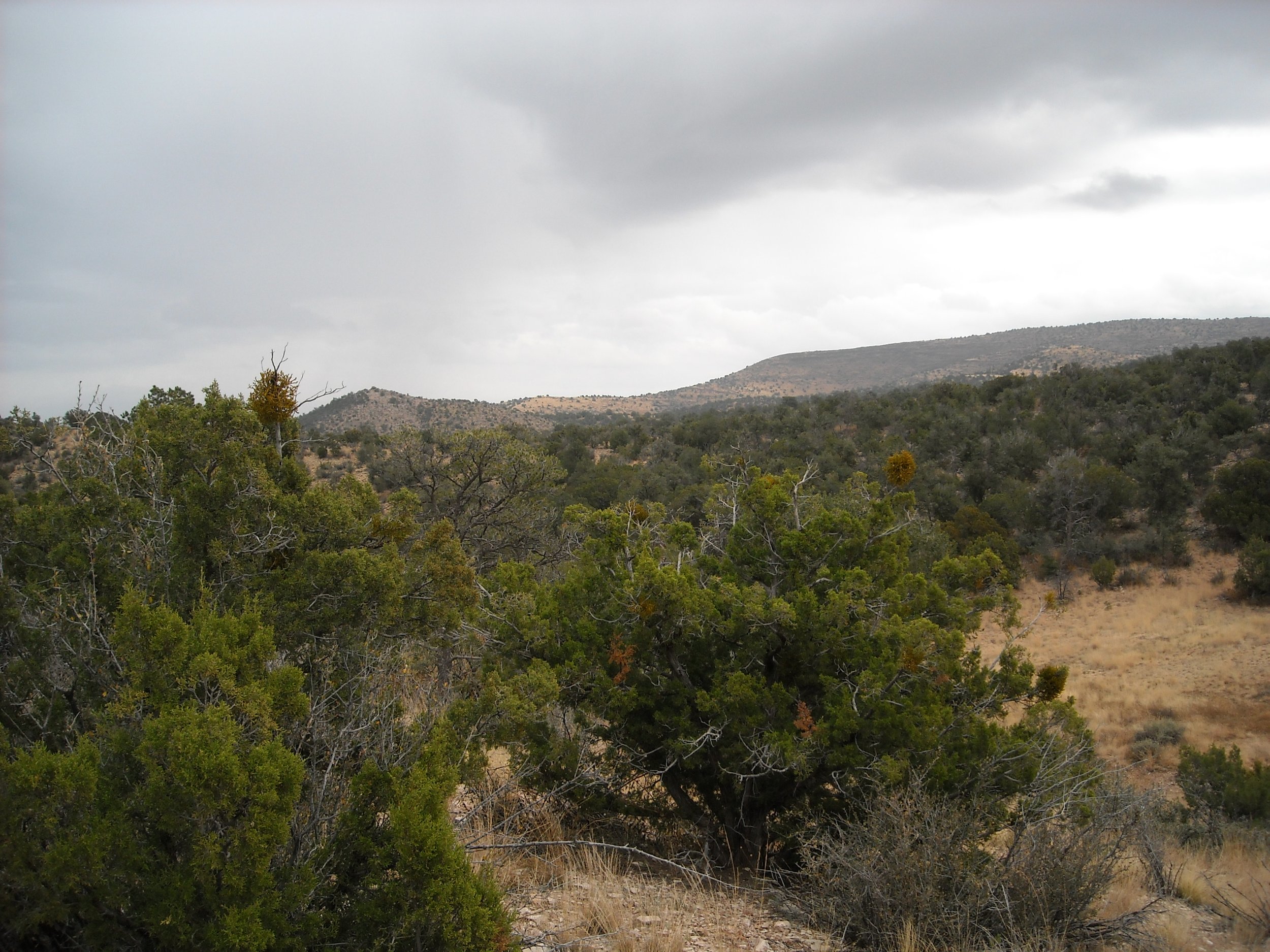 DSCN2857.JPG