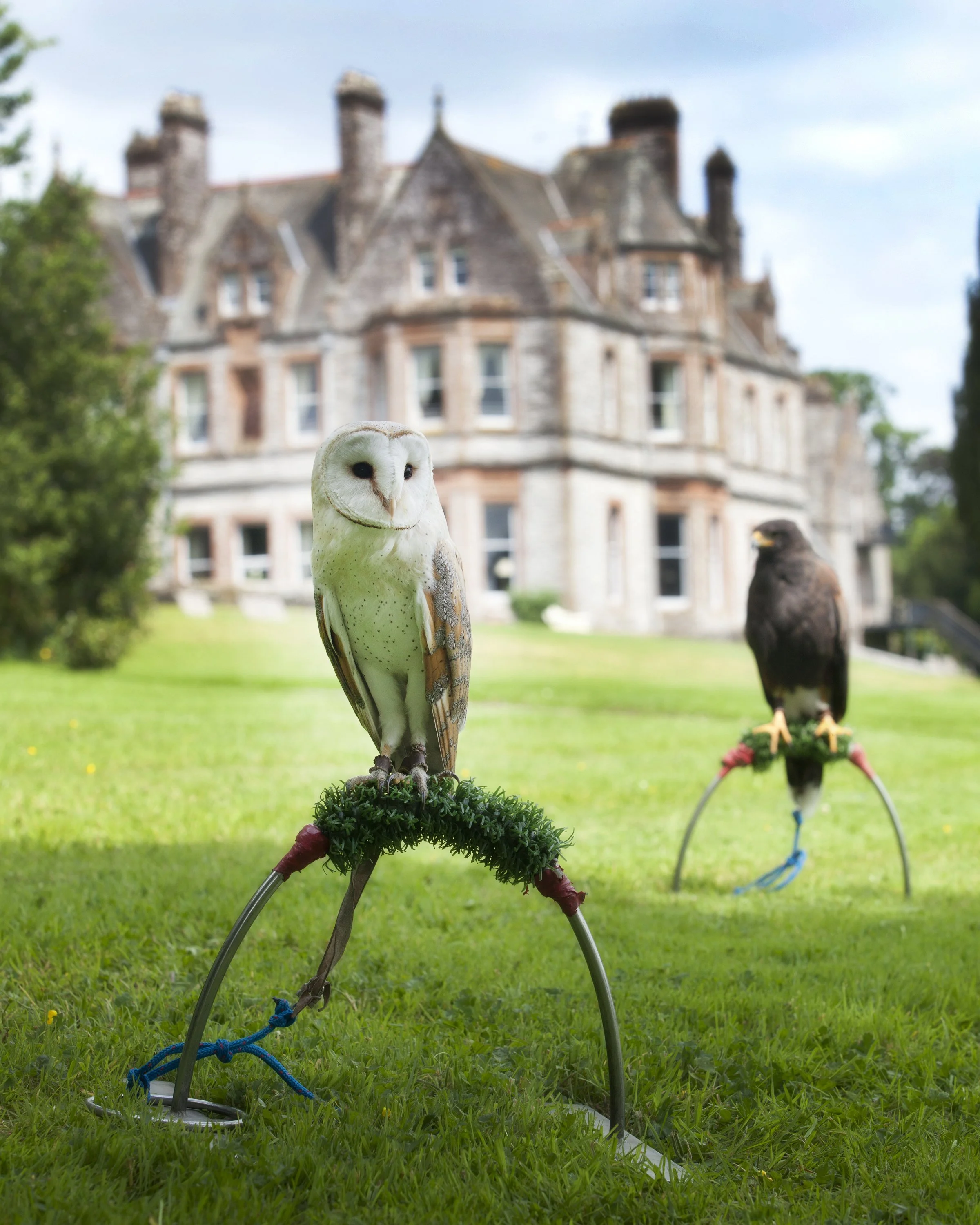 A white owl figurine with a smiley face, on a green grassy lawn, with a historic stone mansion in the background, and other bird figurines nearby, some attached to metal rods and ropes.