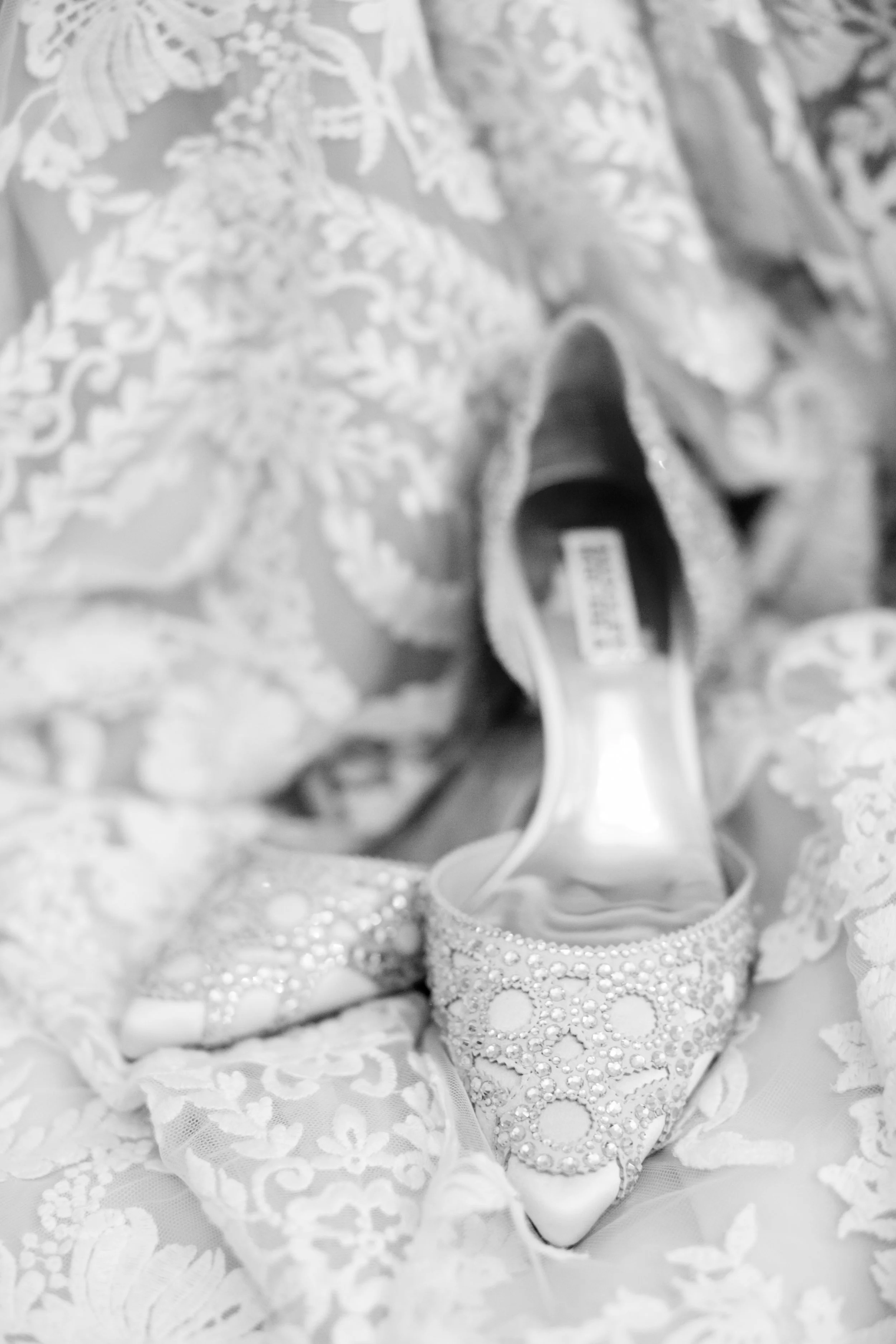 UvegesWeddingLivingRadiantPhotographyhighlights-2.jpg