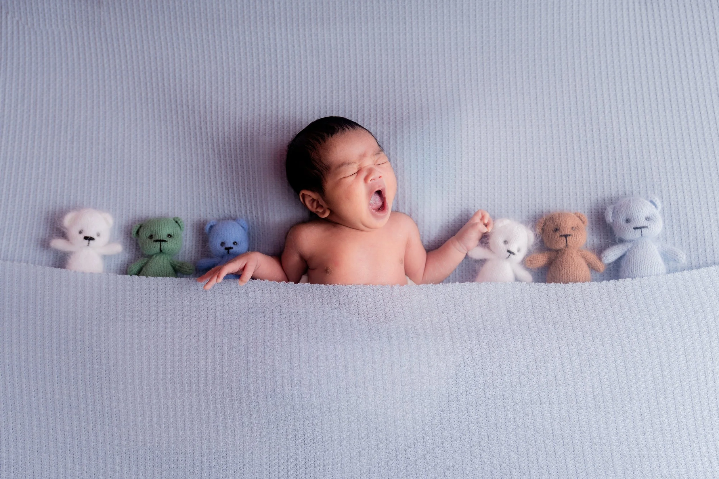 Bebe_et_Moi_Photography_Christnas_2025_Carlonalou-7.jpg