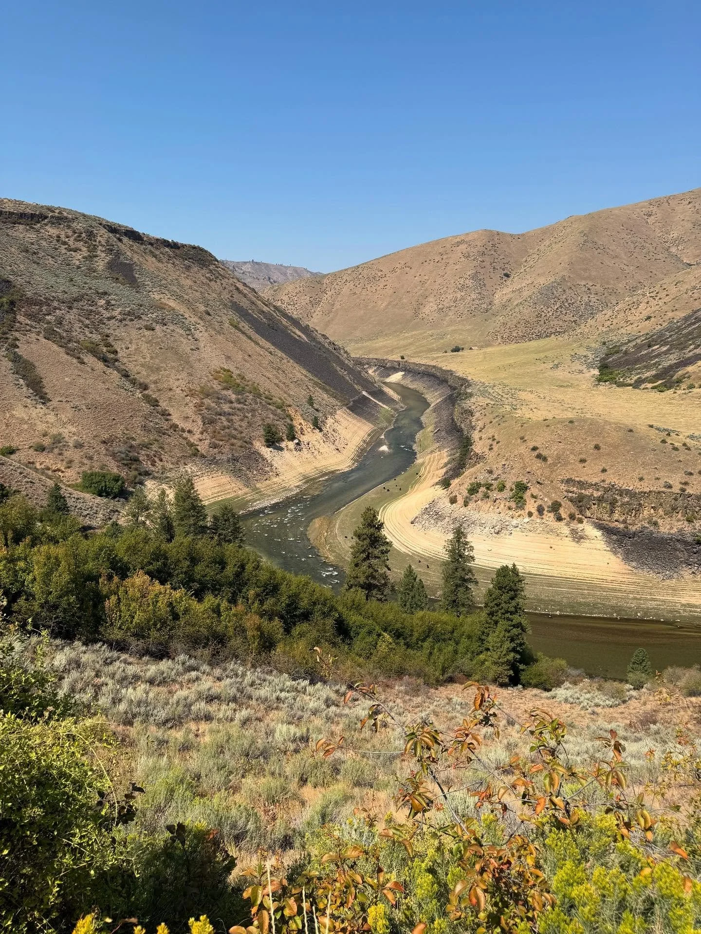A nice kickstart to the Labor Day weekend! 
Work hard, ride harder! Bottom Line wishes you a safe and fun holiday! 💨🇺🇸 #LaborDayWeekend #IdahoLife #rideidaho #BottomLineInspections #HomeSweetIdaho