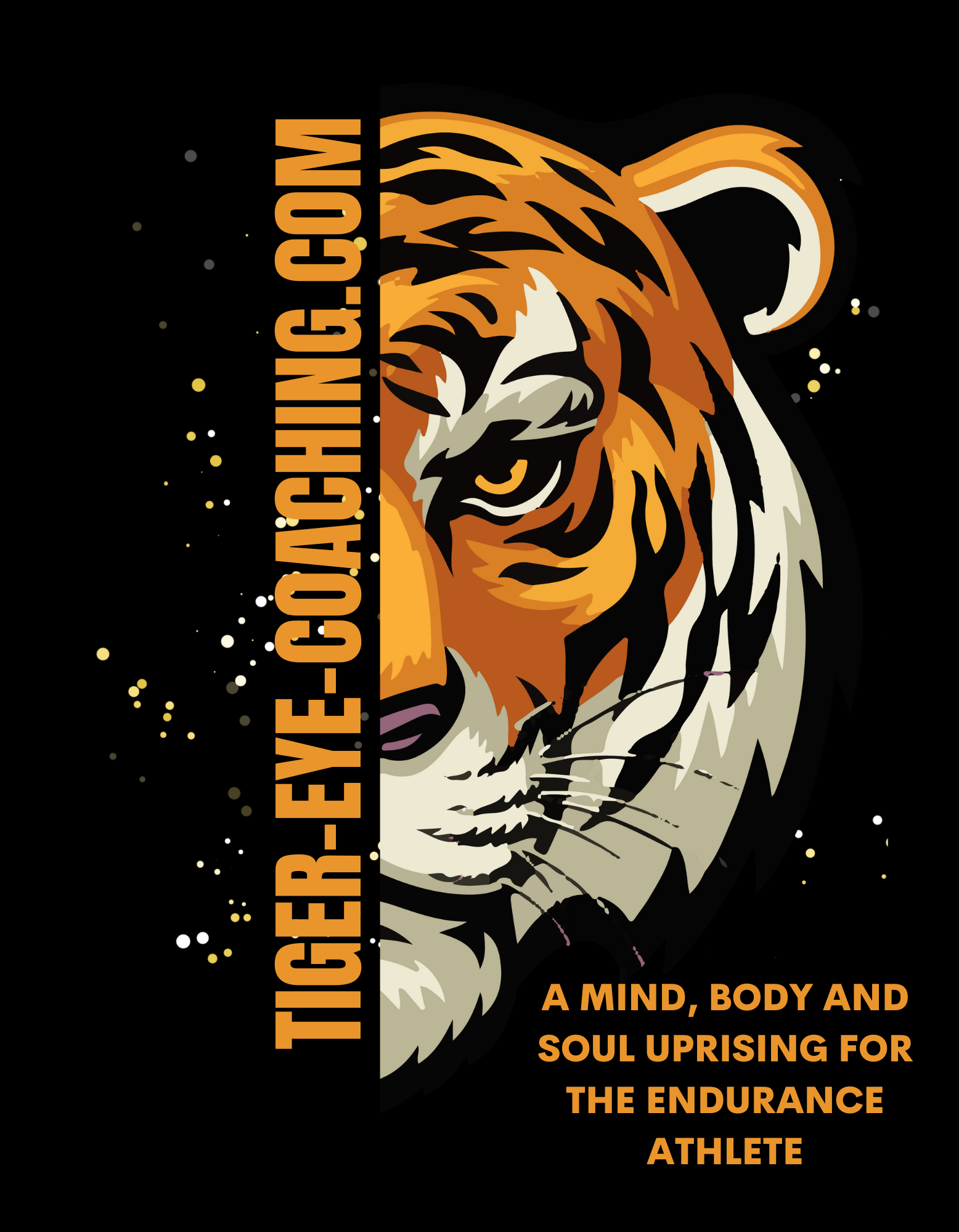 Tiger-Eye-Coaching.com.png