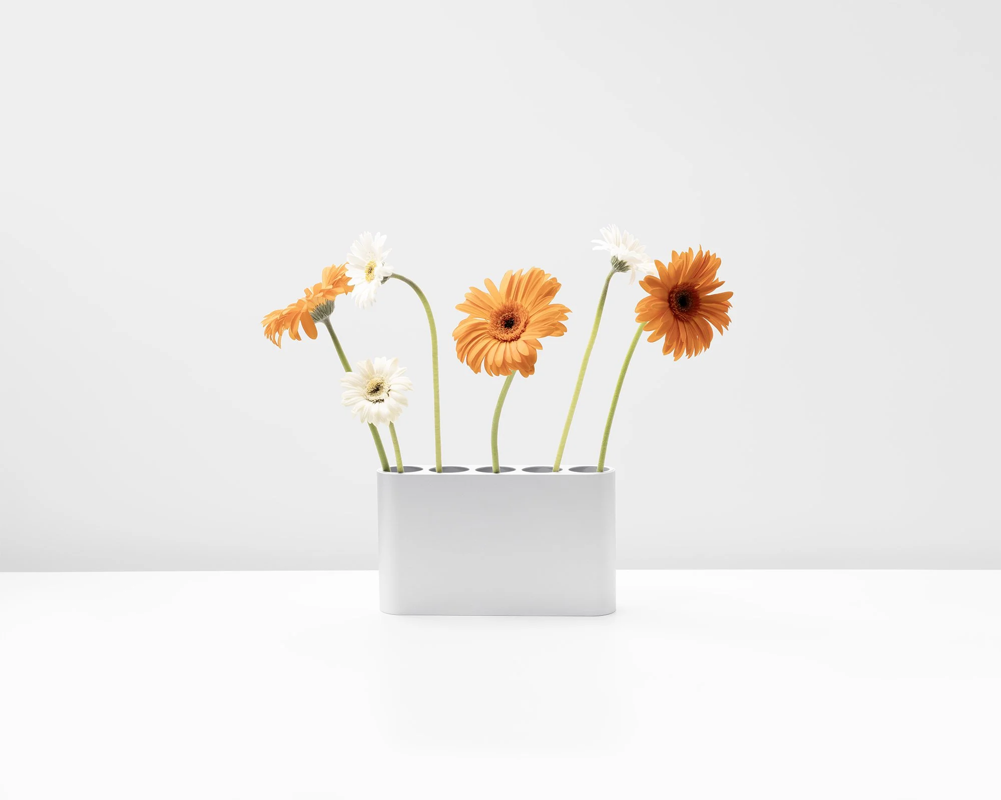 CODE VASE_AAB OFFICE_PHOTOGRAPHY-20.jpg