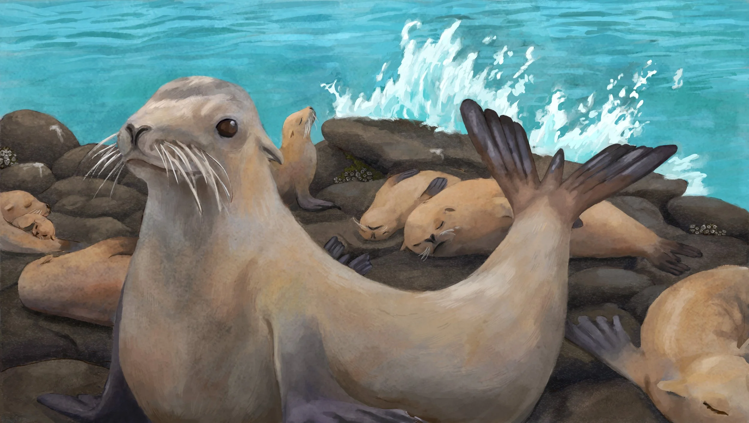 SeaLion_Editorial.jpg