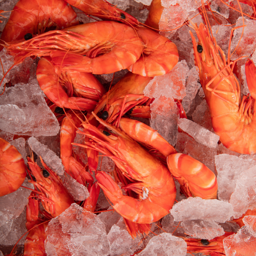 Afishonado Annandale - Fresh prawns, lobster, oysters and premium, ethically sourced seafood are waiting at the counter.