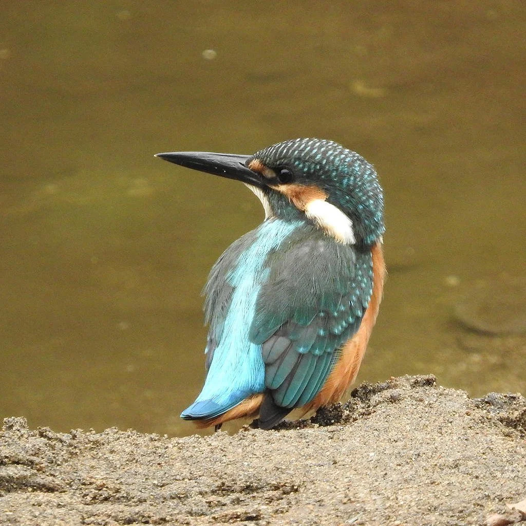 285-1472982553-0.jpg